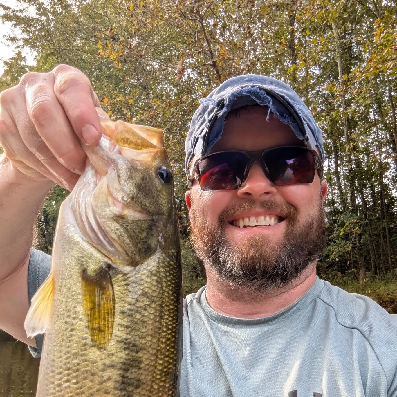 Largemouth bass caught on Fishbrain