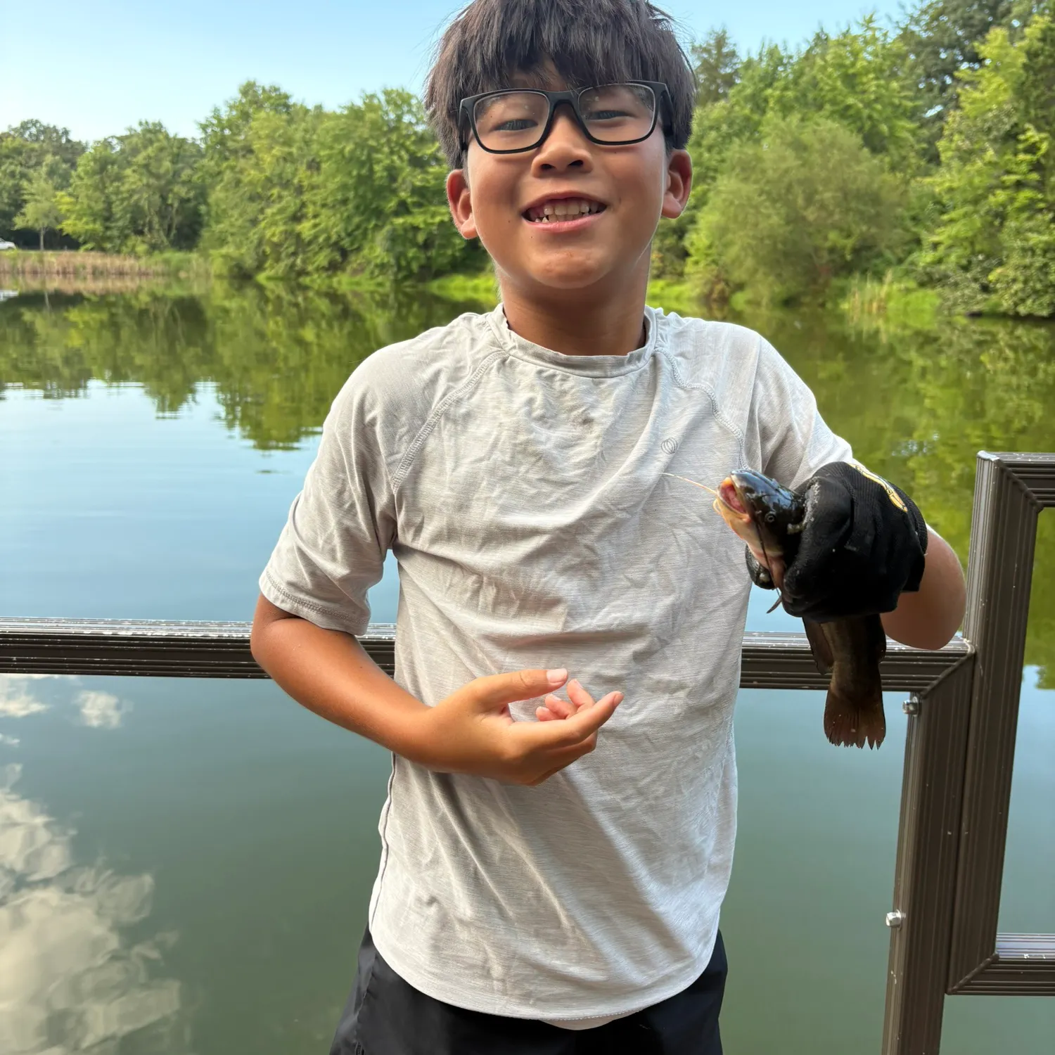 Yellow bullhead caught on Fishbrain