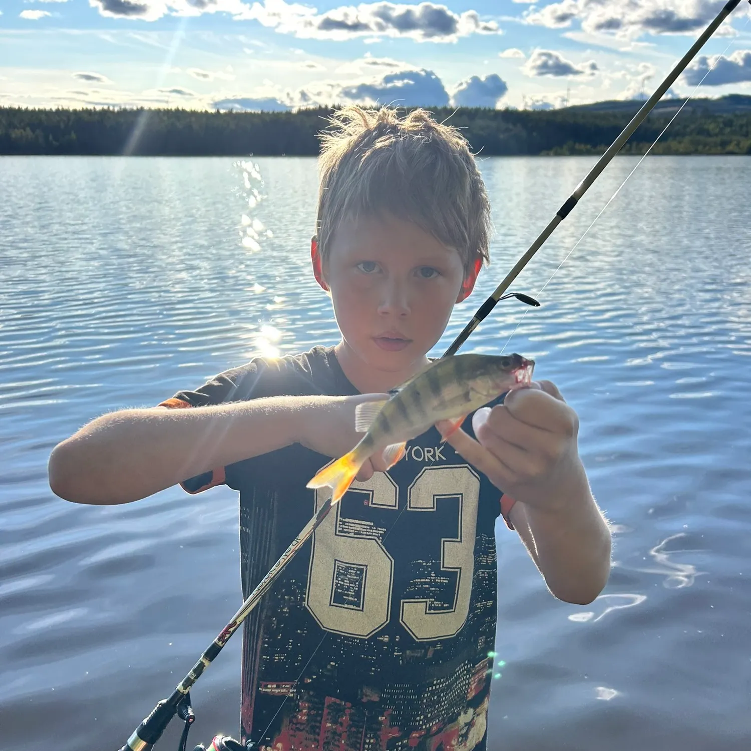 European perch caught on Fishbrain