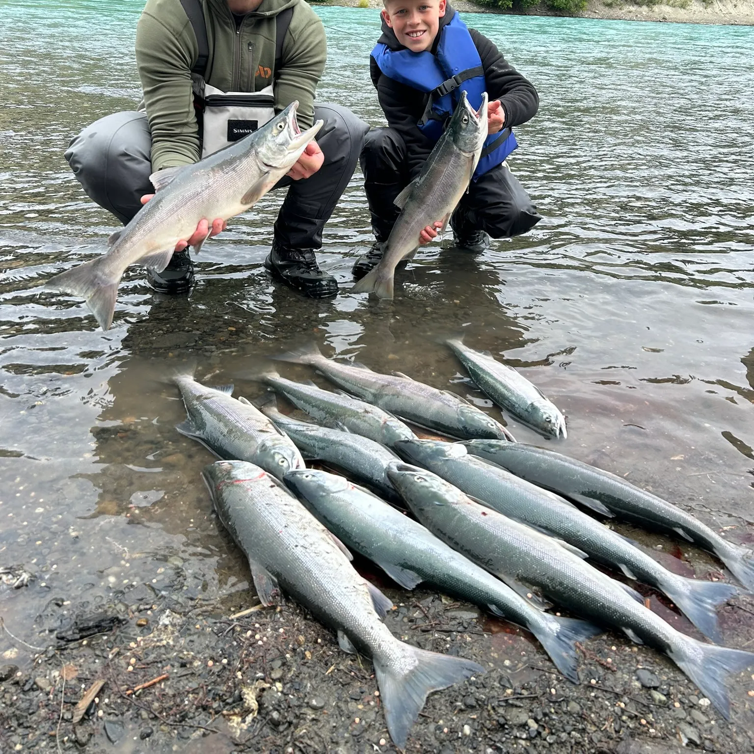 The most recent Sockeye salmon catches on Fishbrain