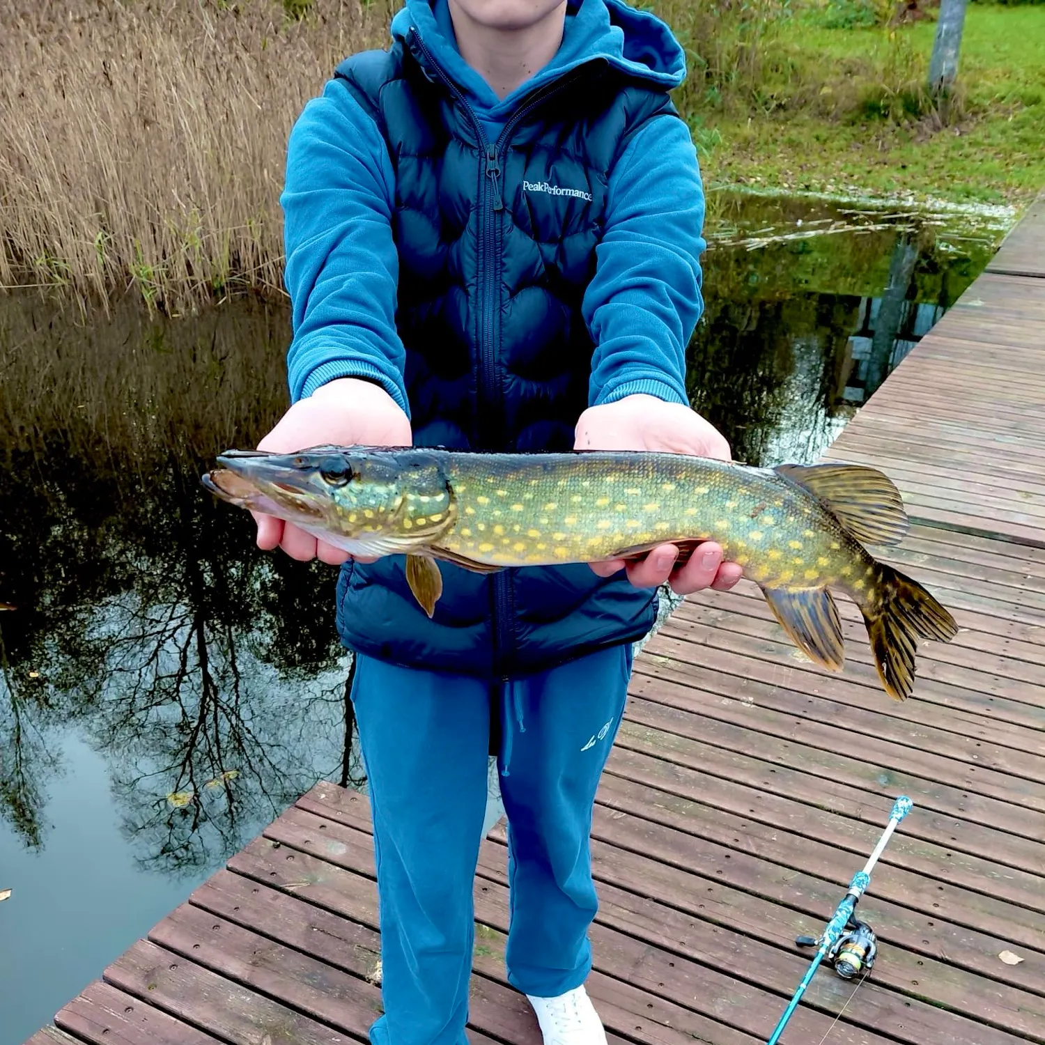 Northern pike caught on Fishbrain
