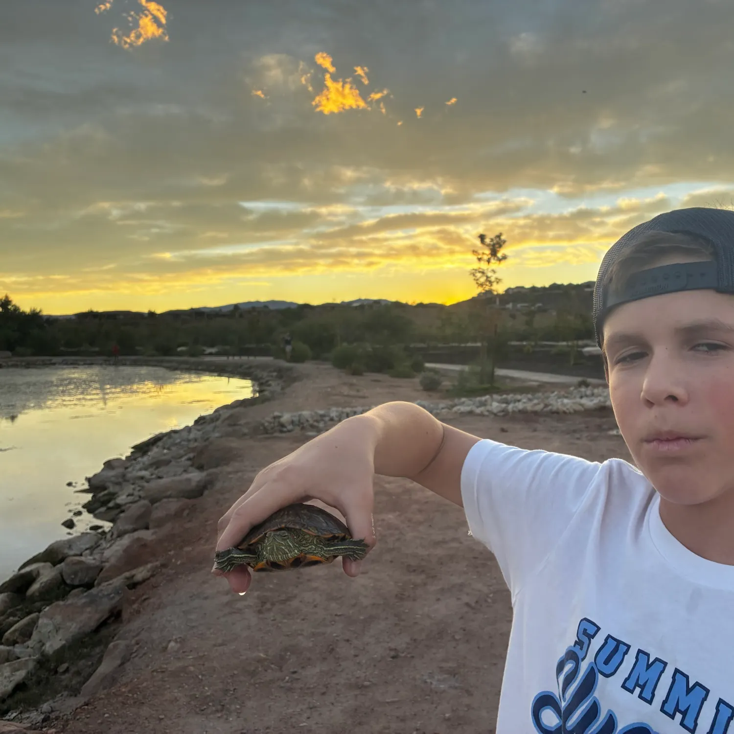 Pond slider turtle caught on Fishbrain