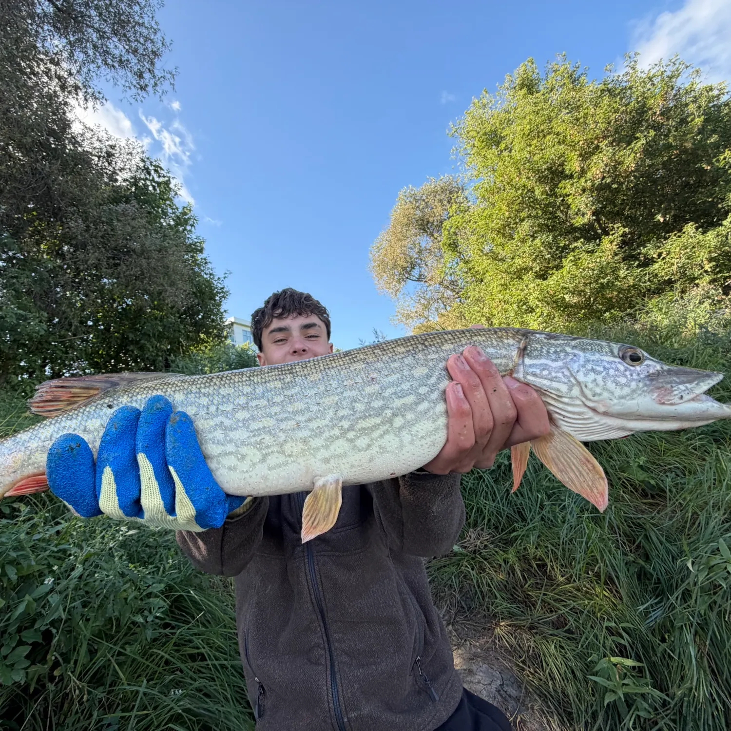 catch