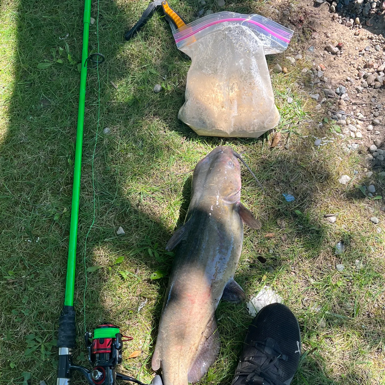 catch