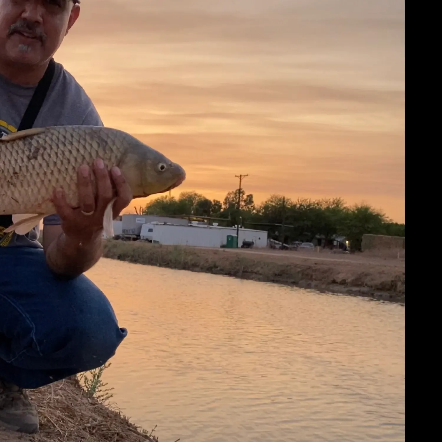 The most recent Common carp catches on Fishbrain