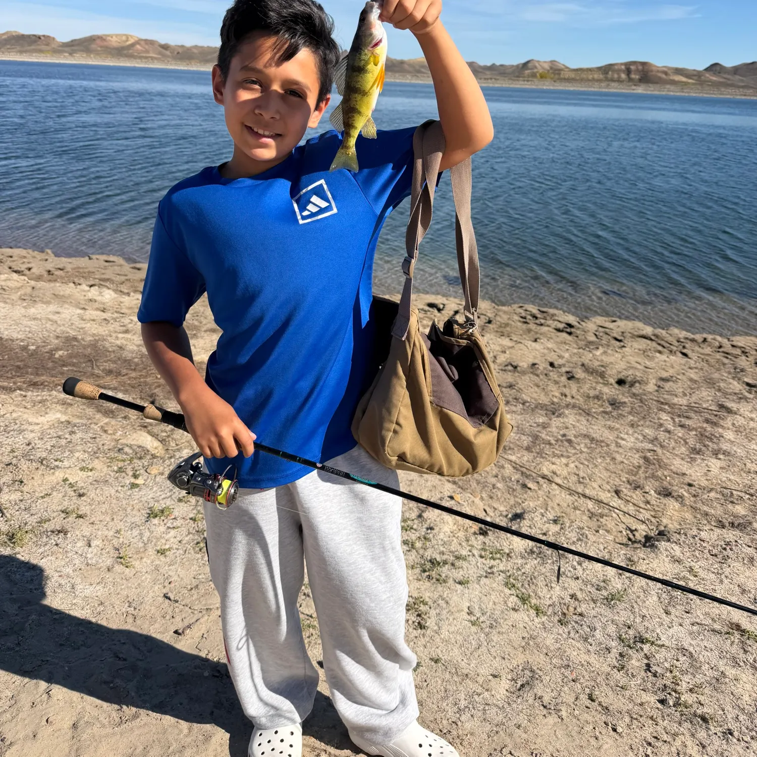 Yellow perch caught on Fishbrain