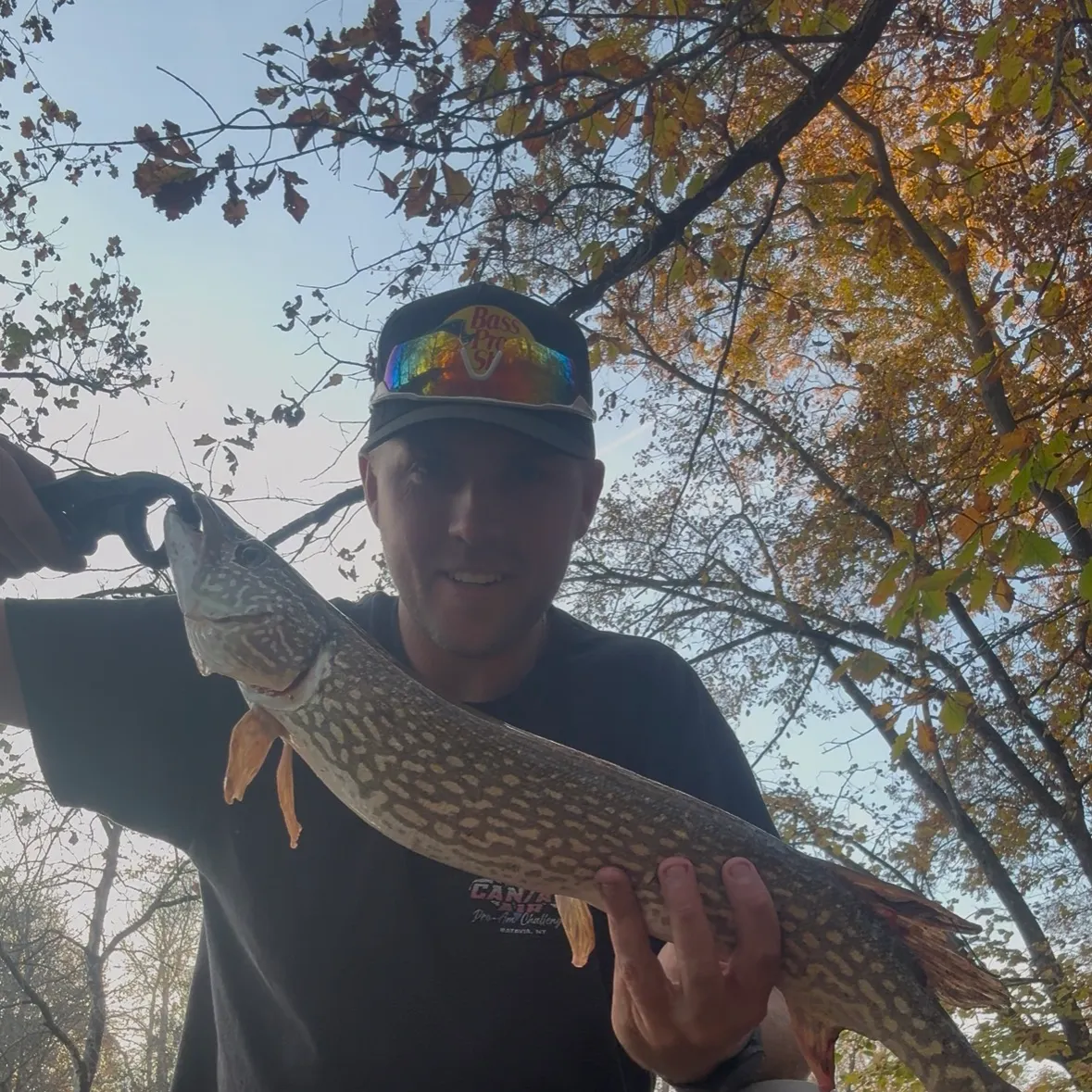 Northern pike caught on Fishbrain