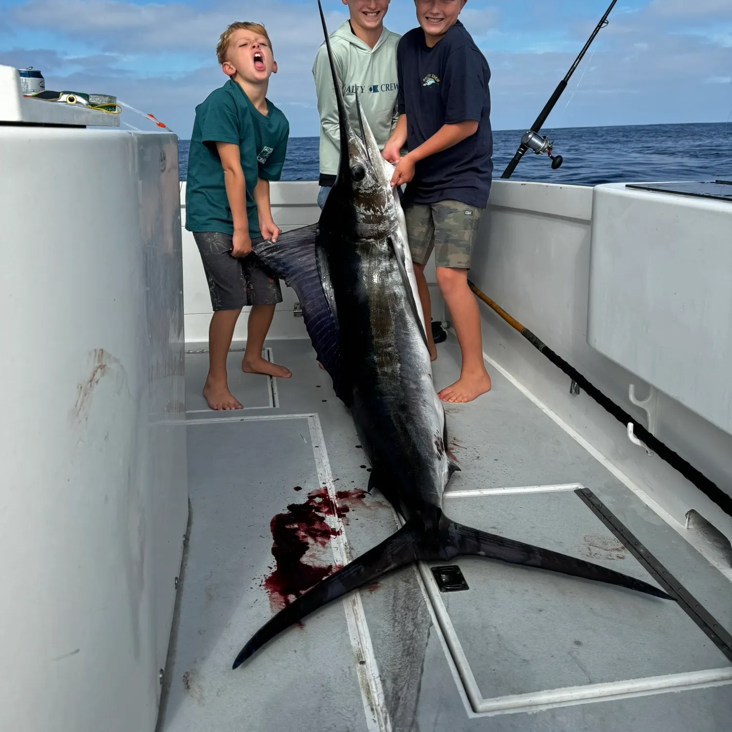 The most recent Striped marlin catches on Fishbrain