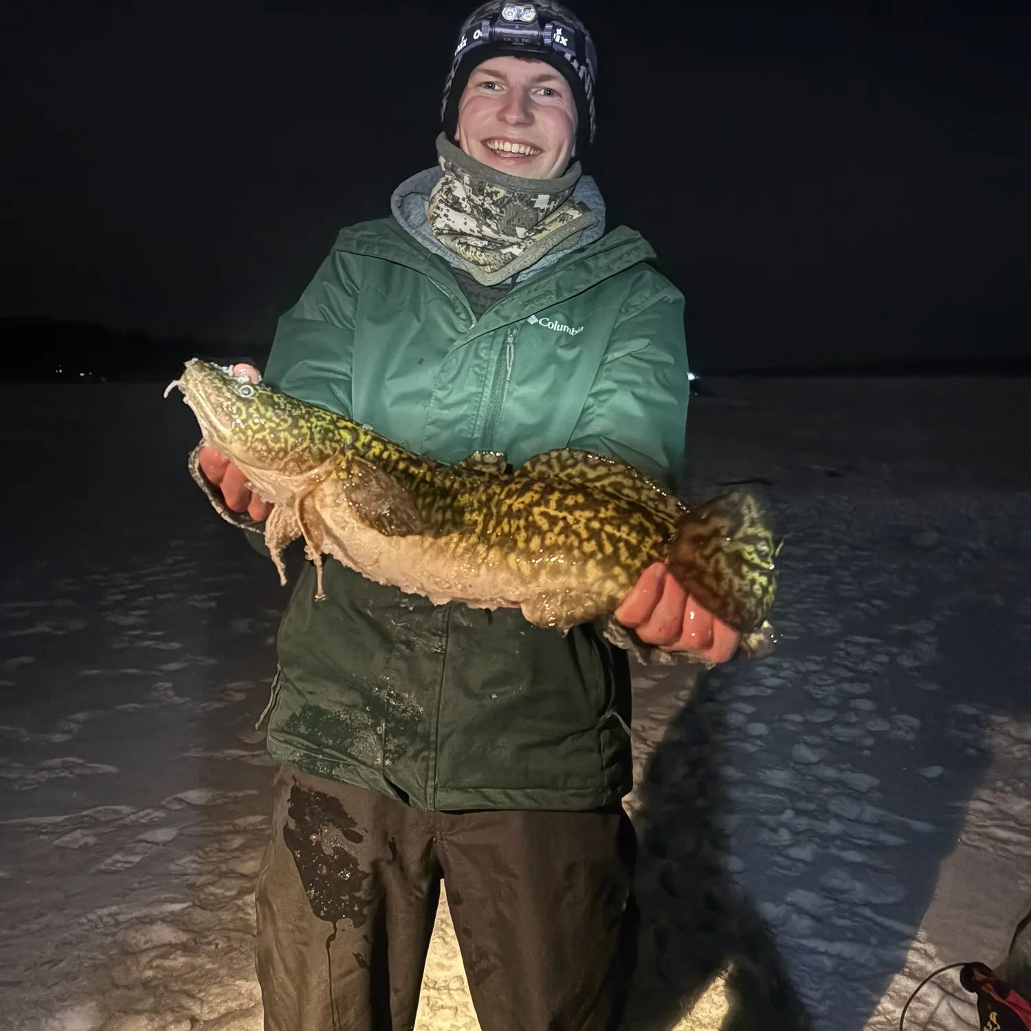 The most recent Burbot catches on Fishbrain