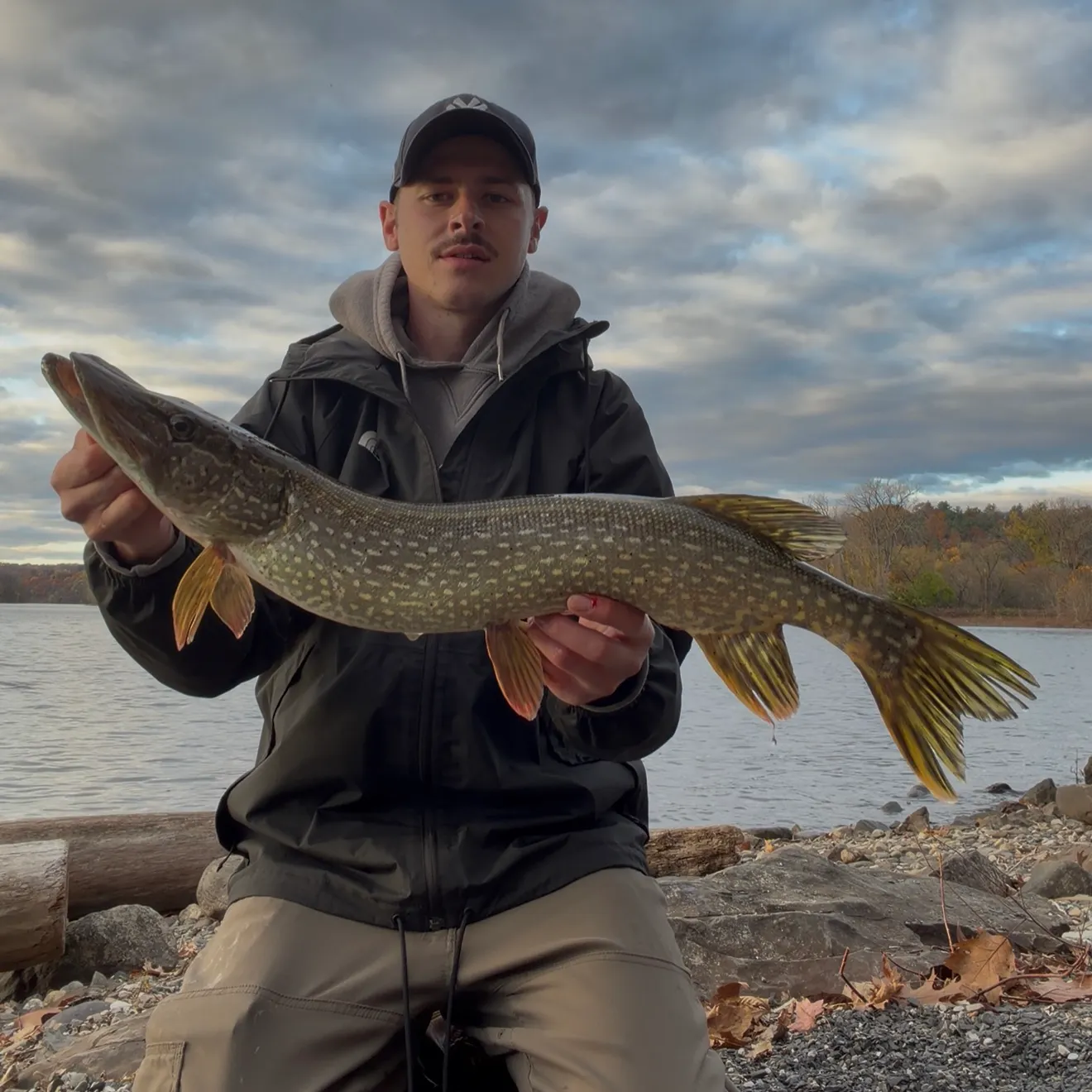 The most recent Northern pike catches on Fishbrain