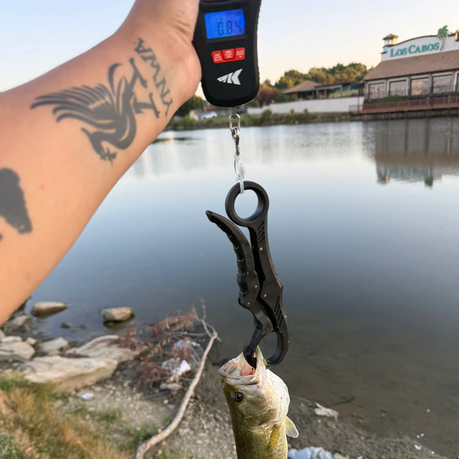 catch