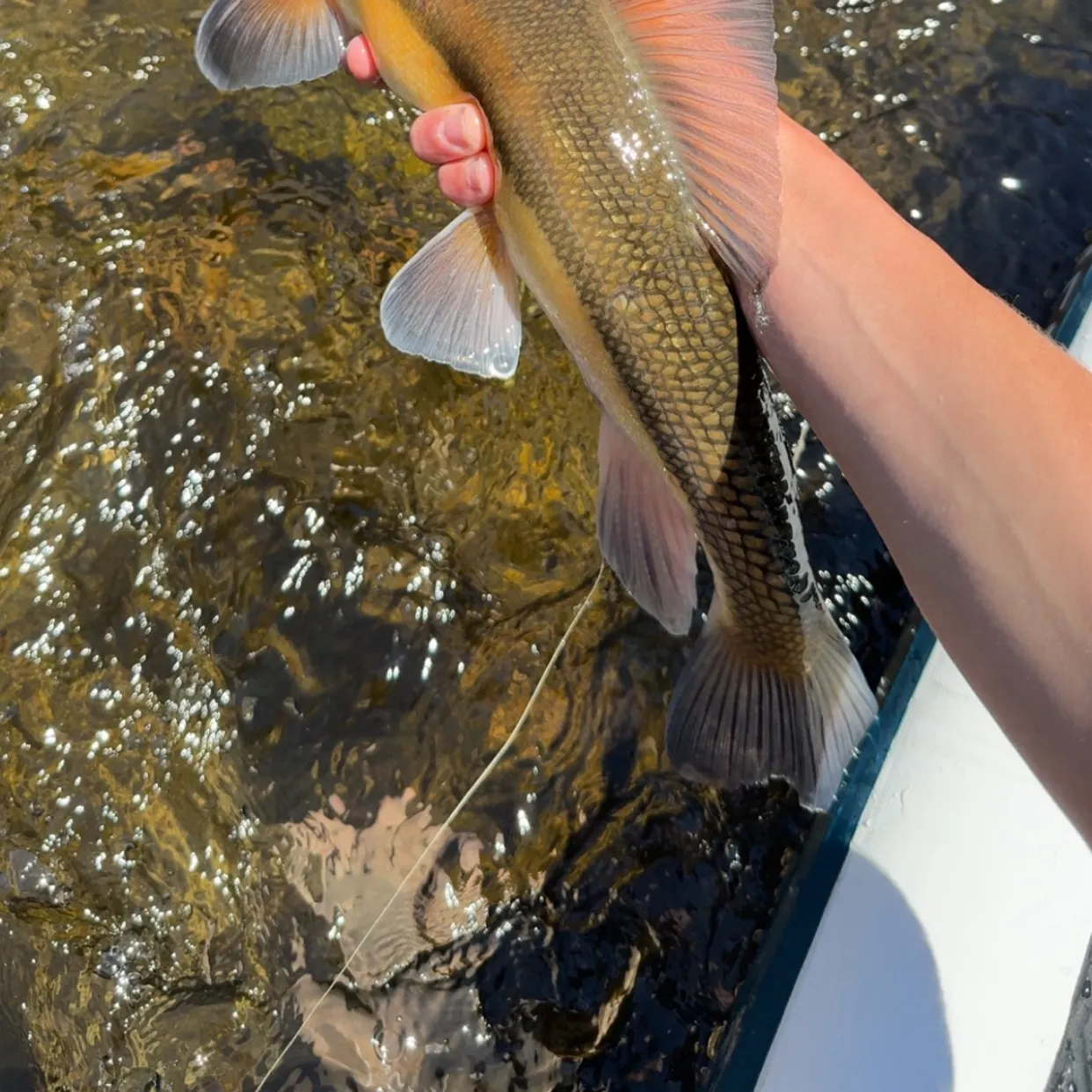 catch