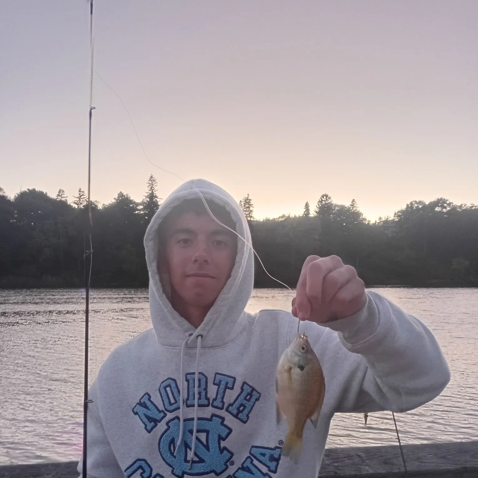 Bluegill caught on Fishbrain