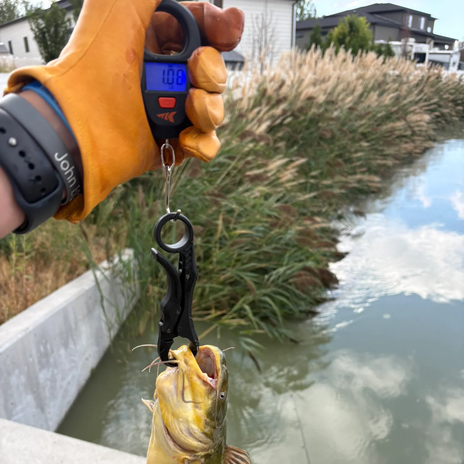 catch