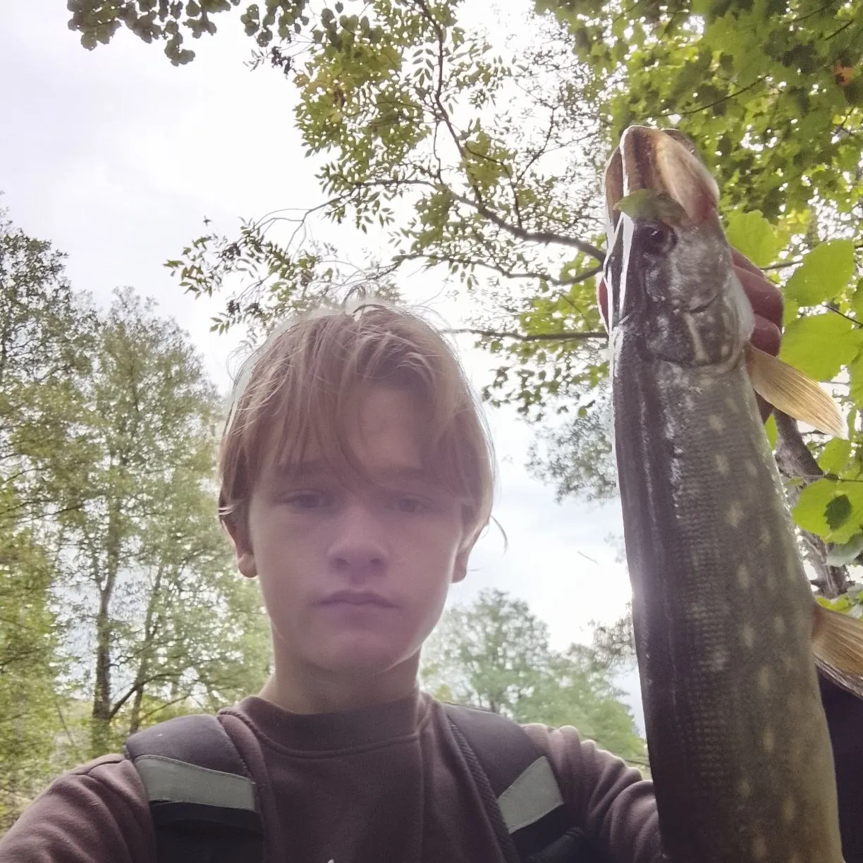 Northern pike caught on Fishbrain