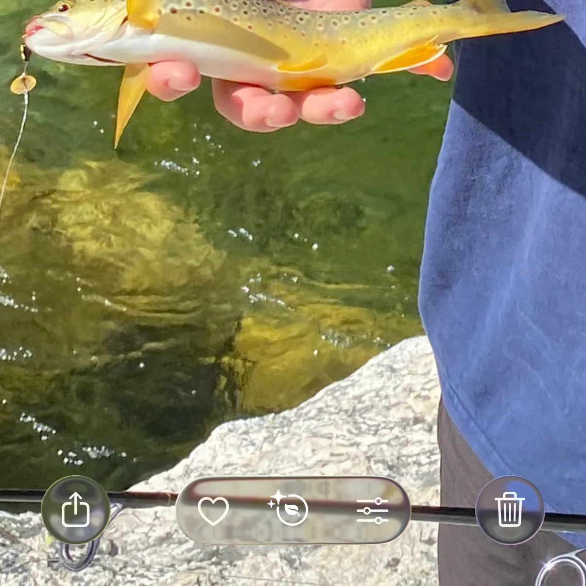 recently logged catches