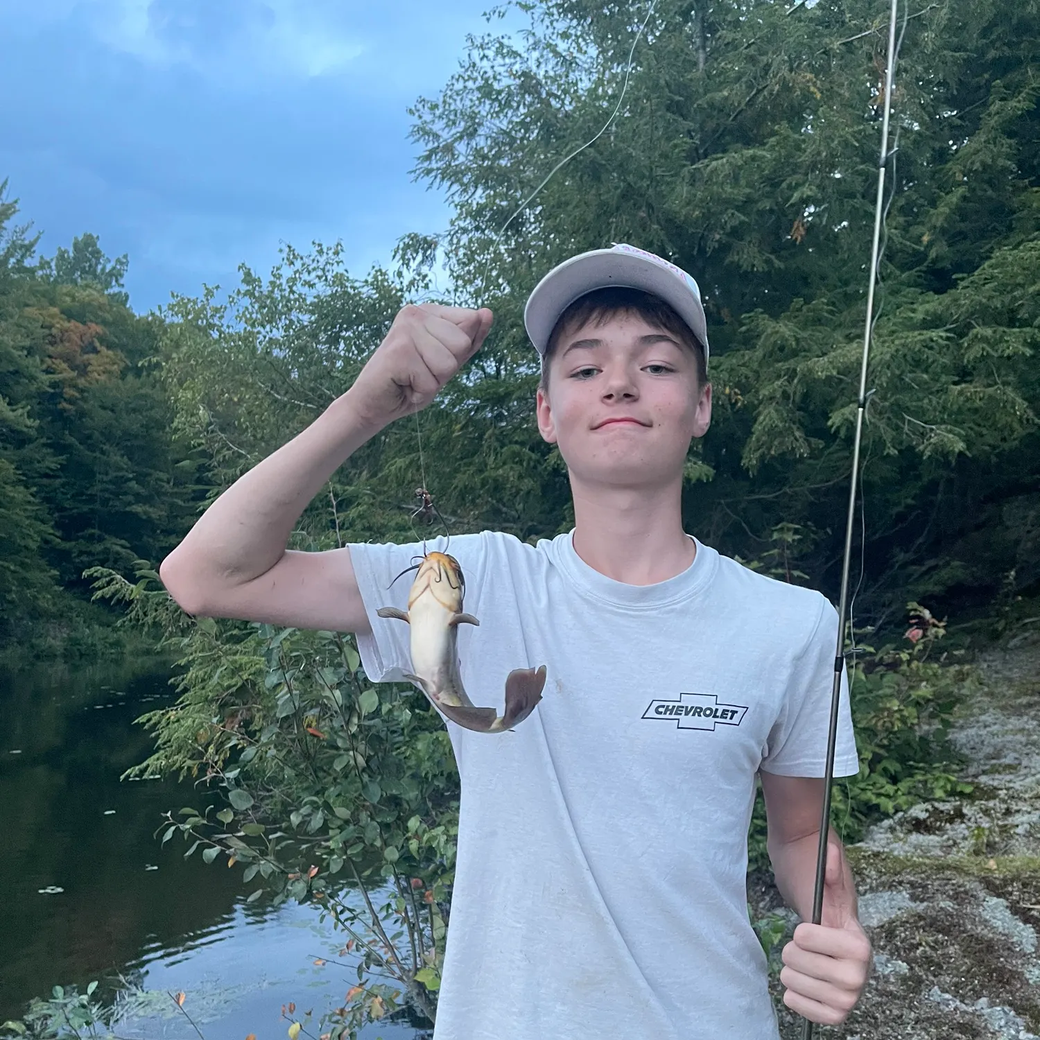 Black bullhead caught on Fishbrain