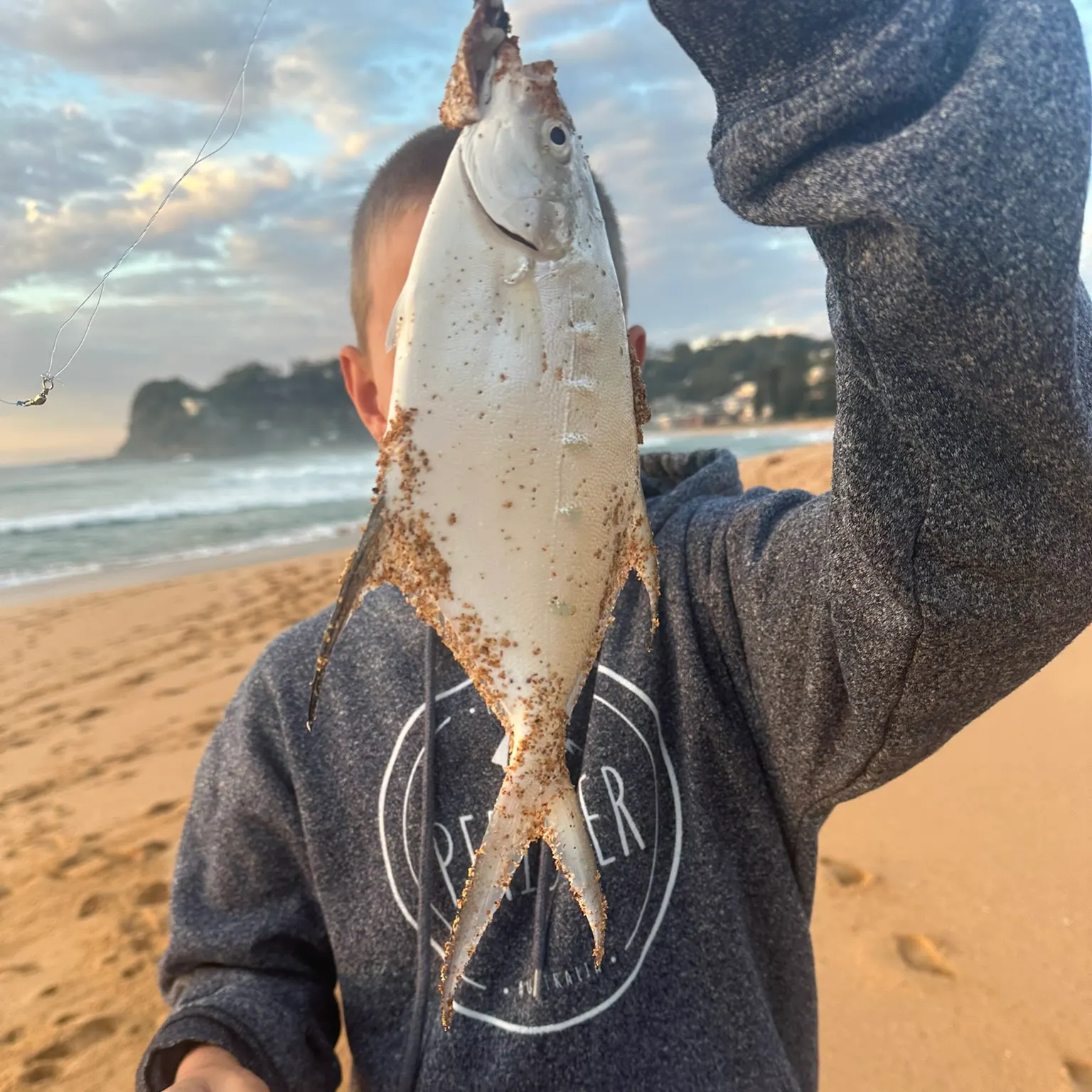 The most recent Swallowtail dart catches on Fishbrain