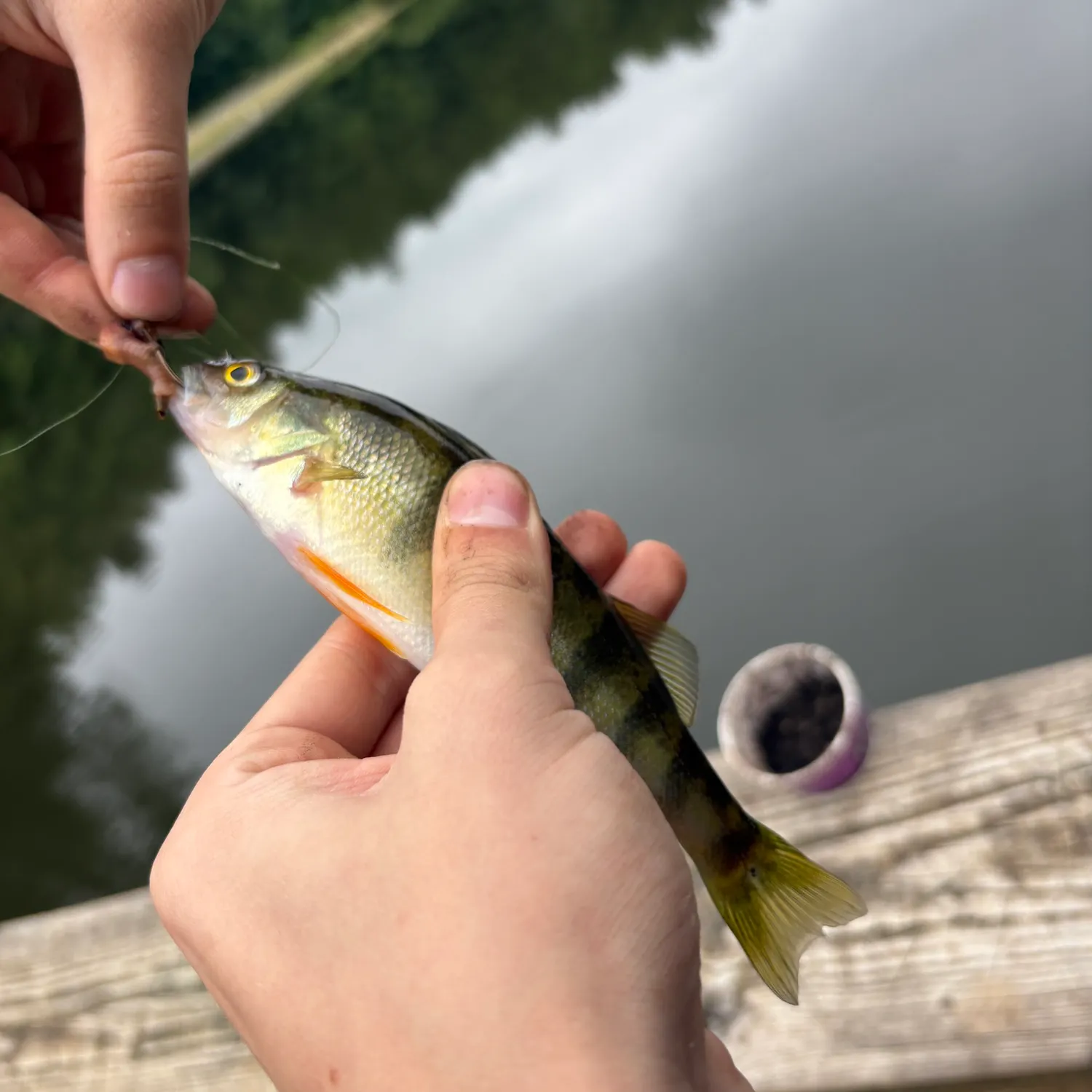 catch
