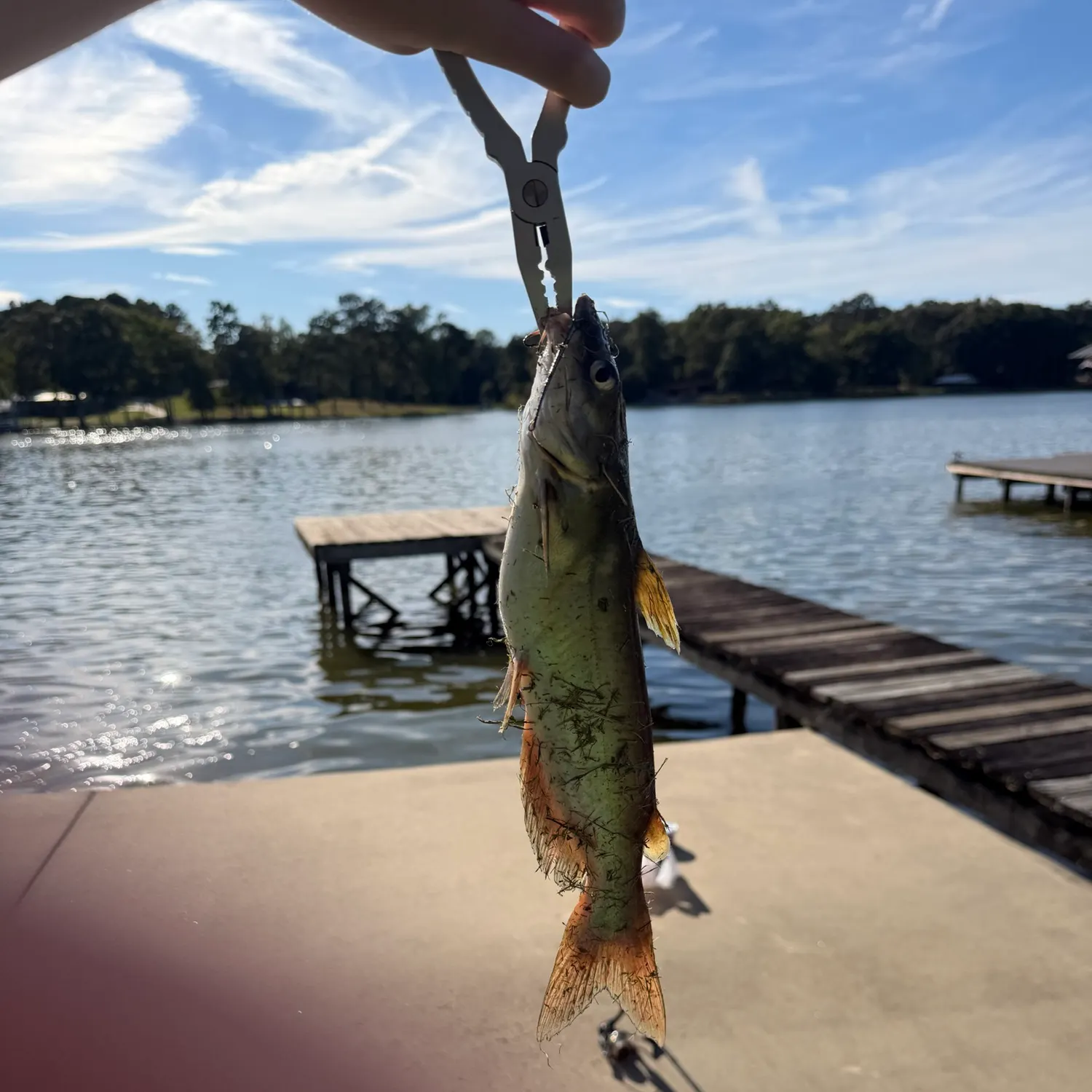 catch