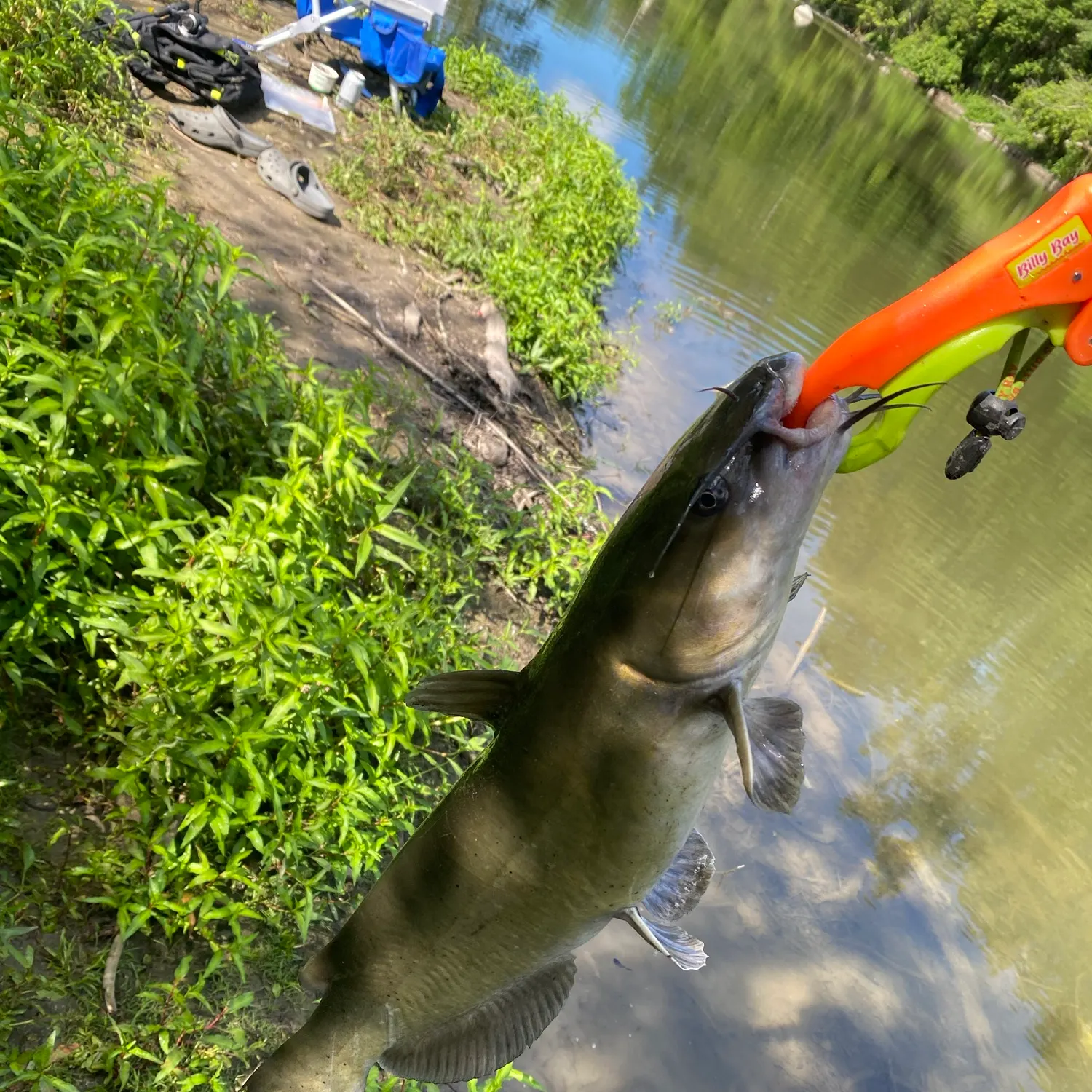 catch