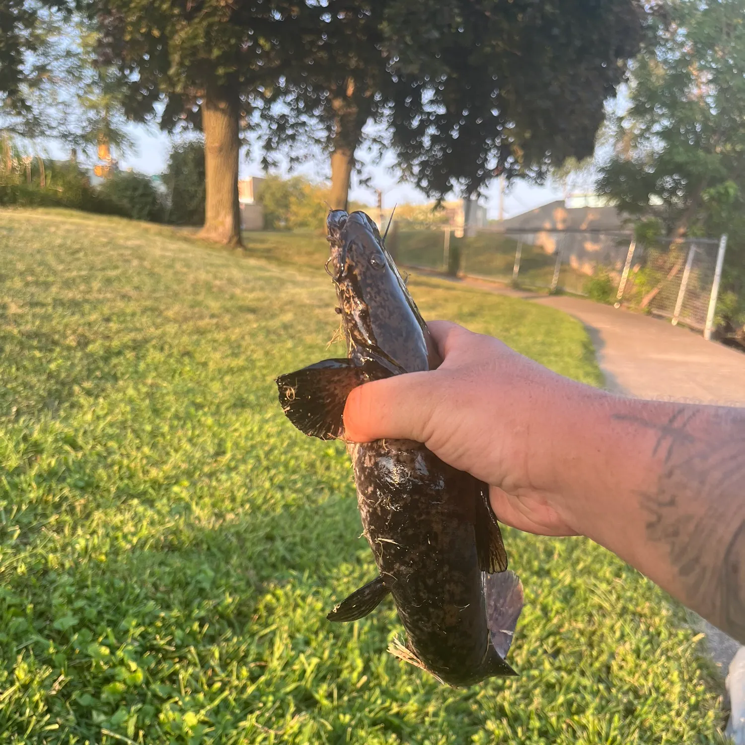 catch