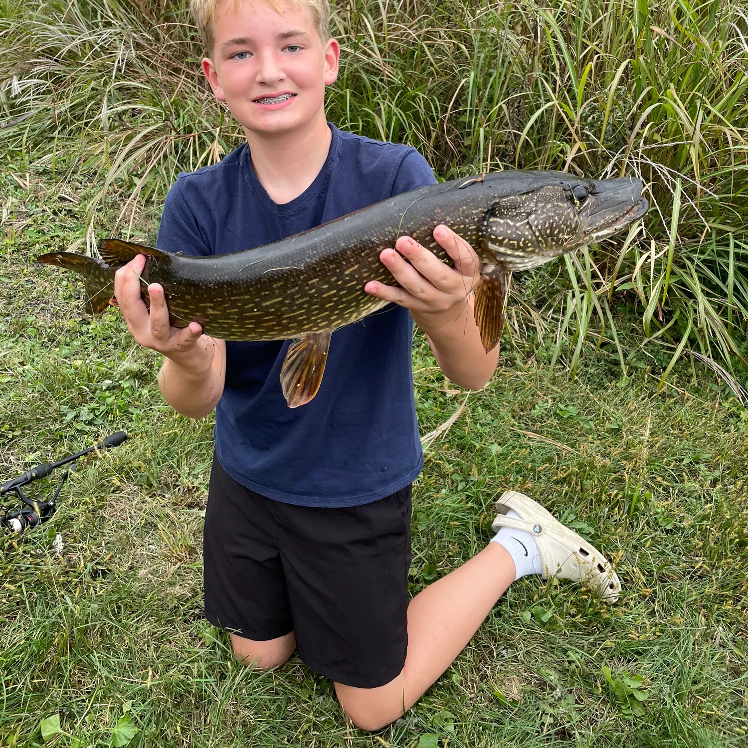 Northern pike caught on Fishbrain