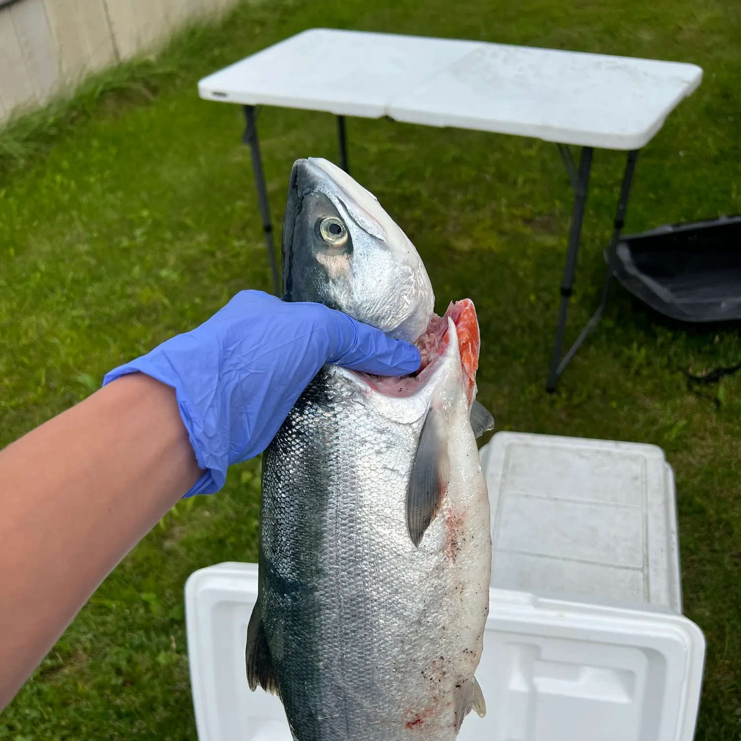 catch
