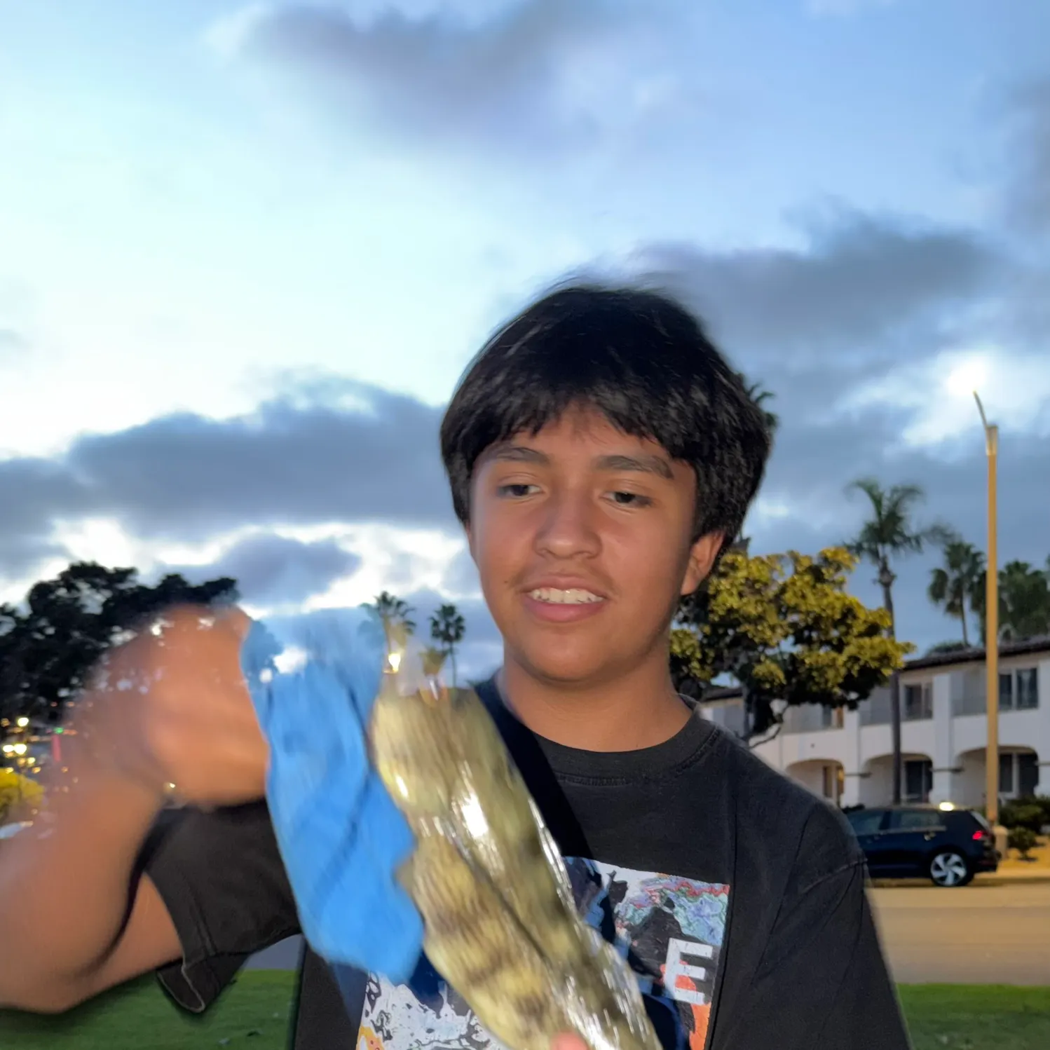 Spotted sand bass caught on Fishbrain