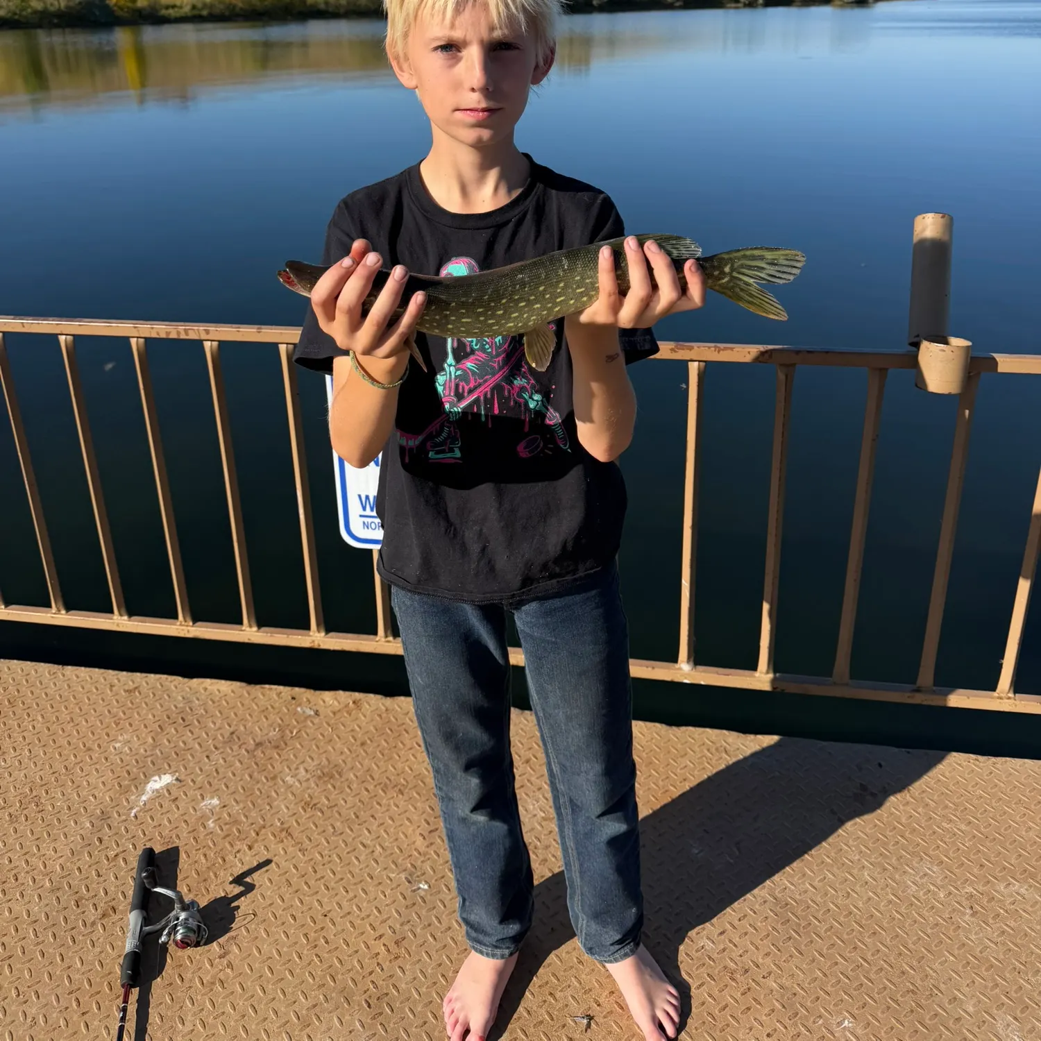 Northern pike caught on Fishbrain