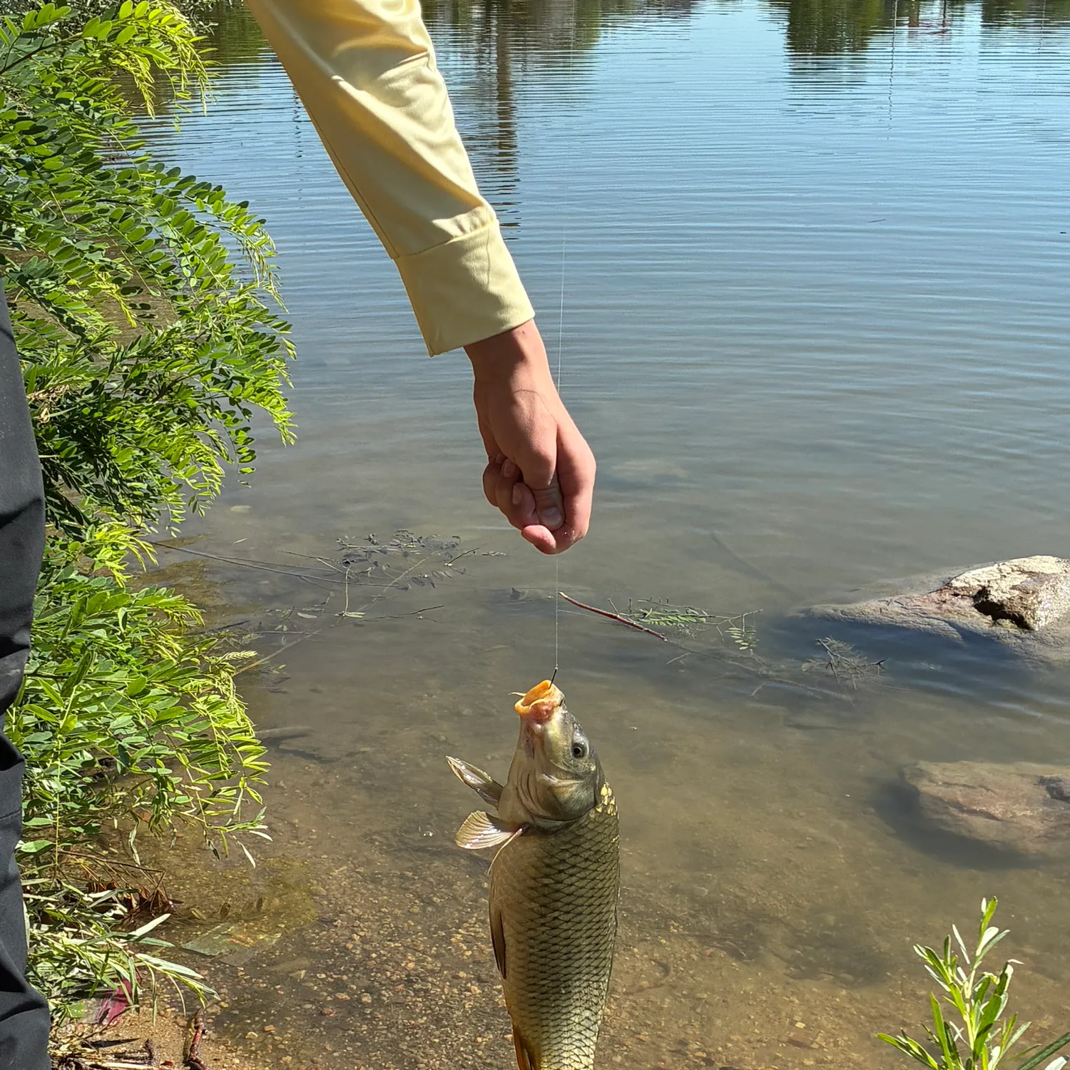catch