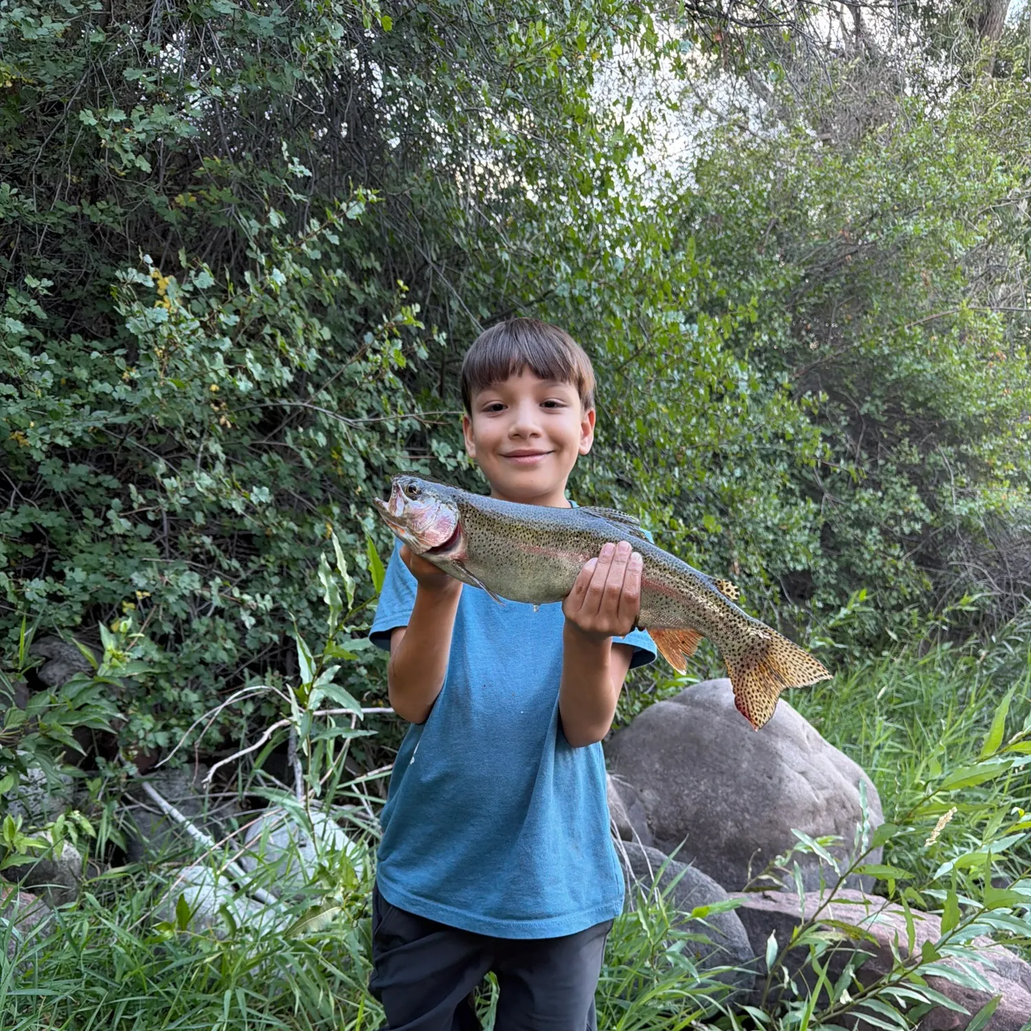 Cutbow caught on Fishbrain