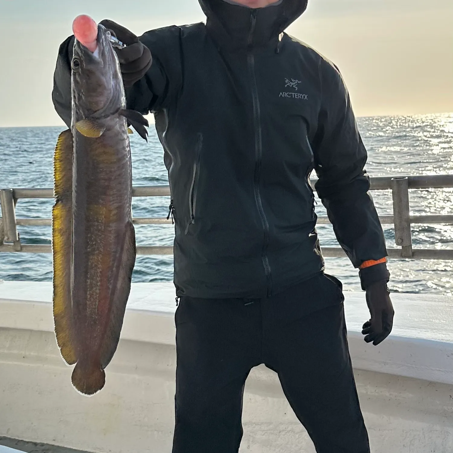 most liked catch image