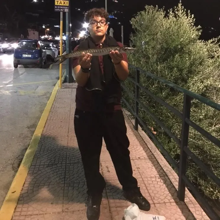 The most recent European barracuda catches on Fishbrain