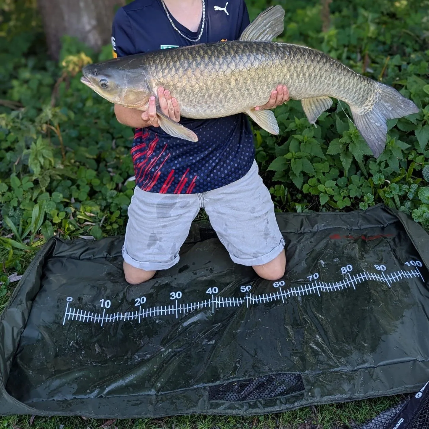 Grass carp caught on Fishbrain