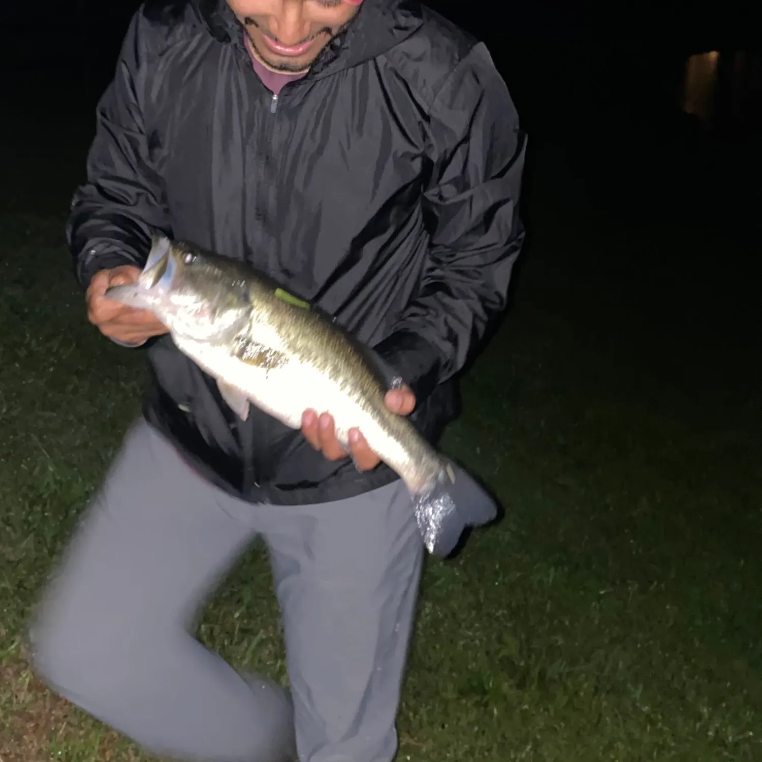angler catch