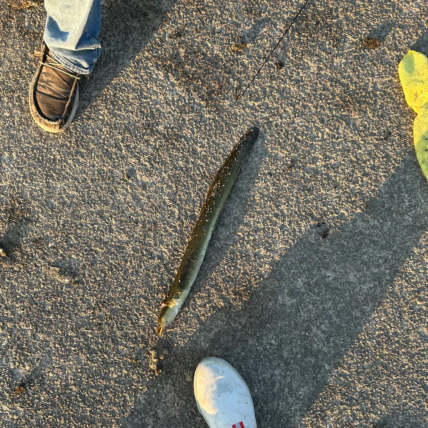 catch