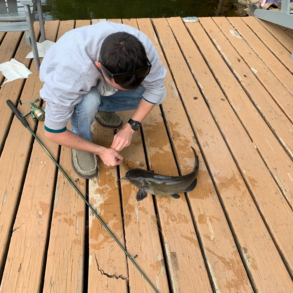 The most recent Blue catfish catches on Fishbrain