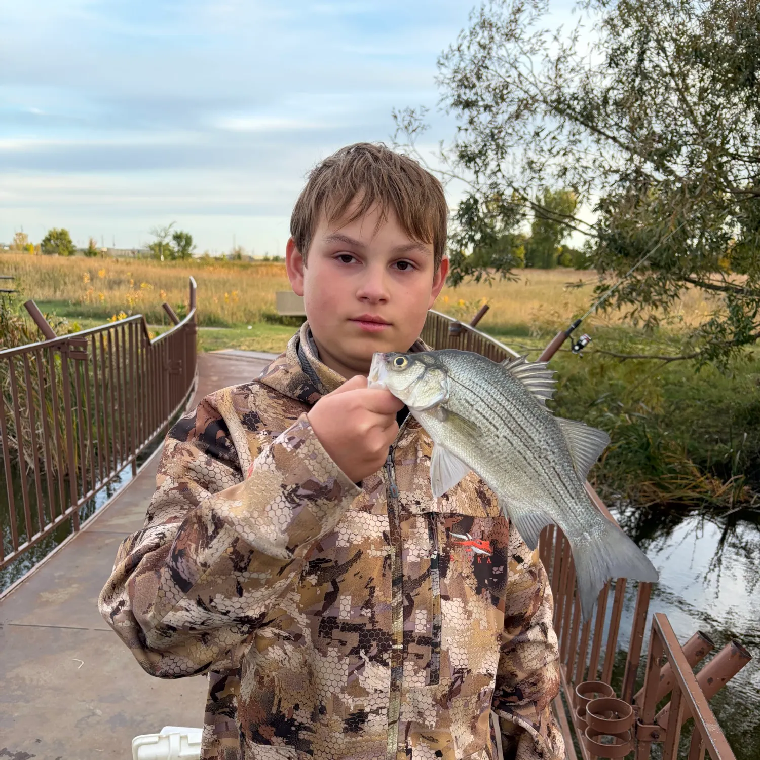 White bass caught on Fishbrain