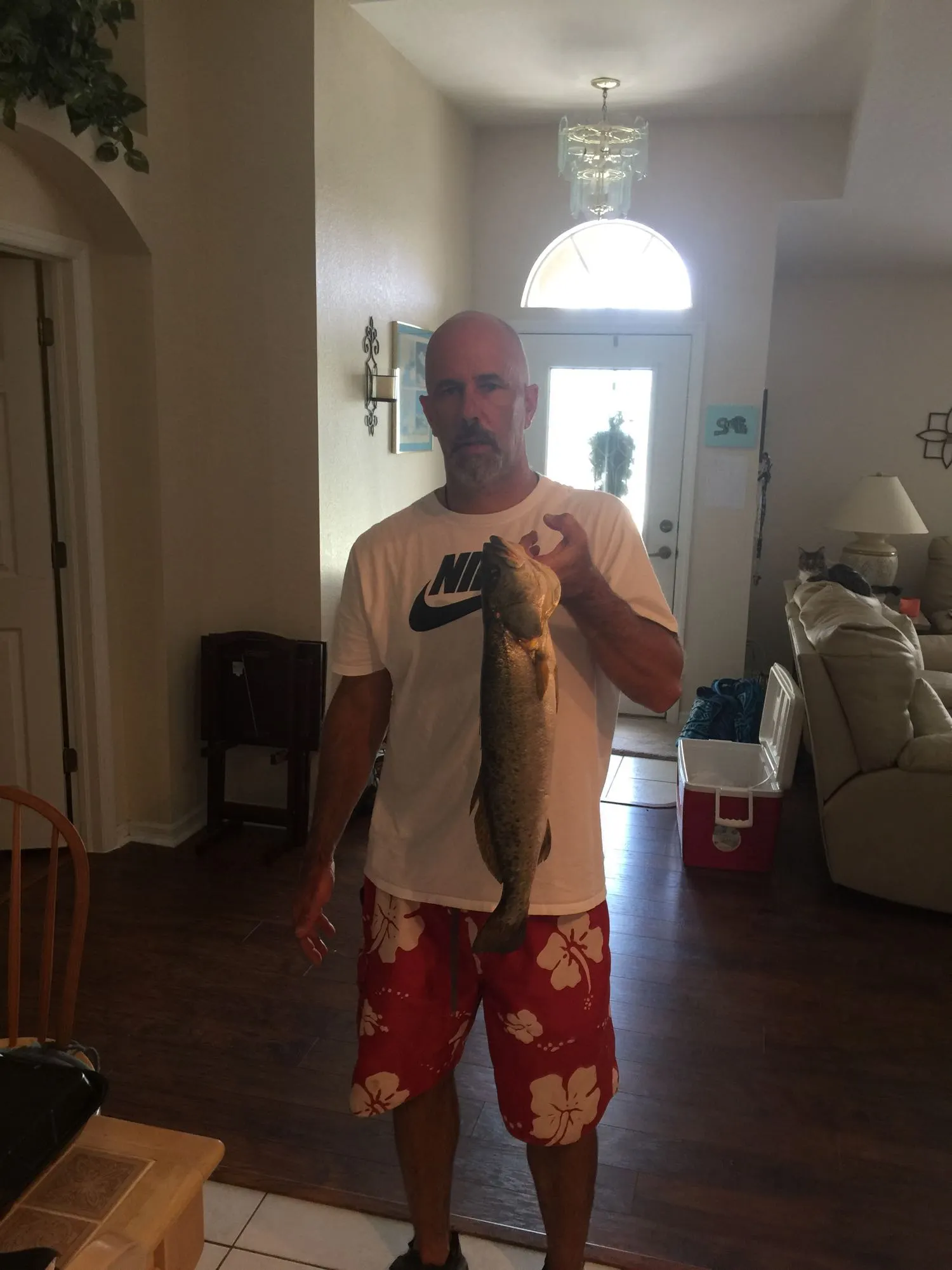 Post image from fcoryell