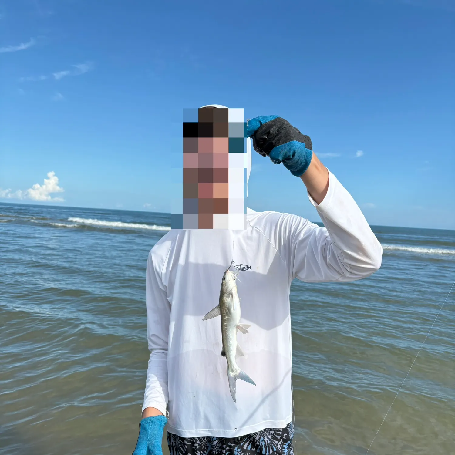 The most recent Hardhead sea catfish catches on Fishbrain