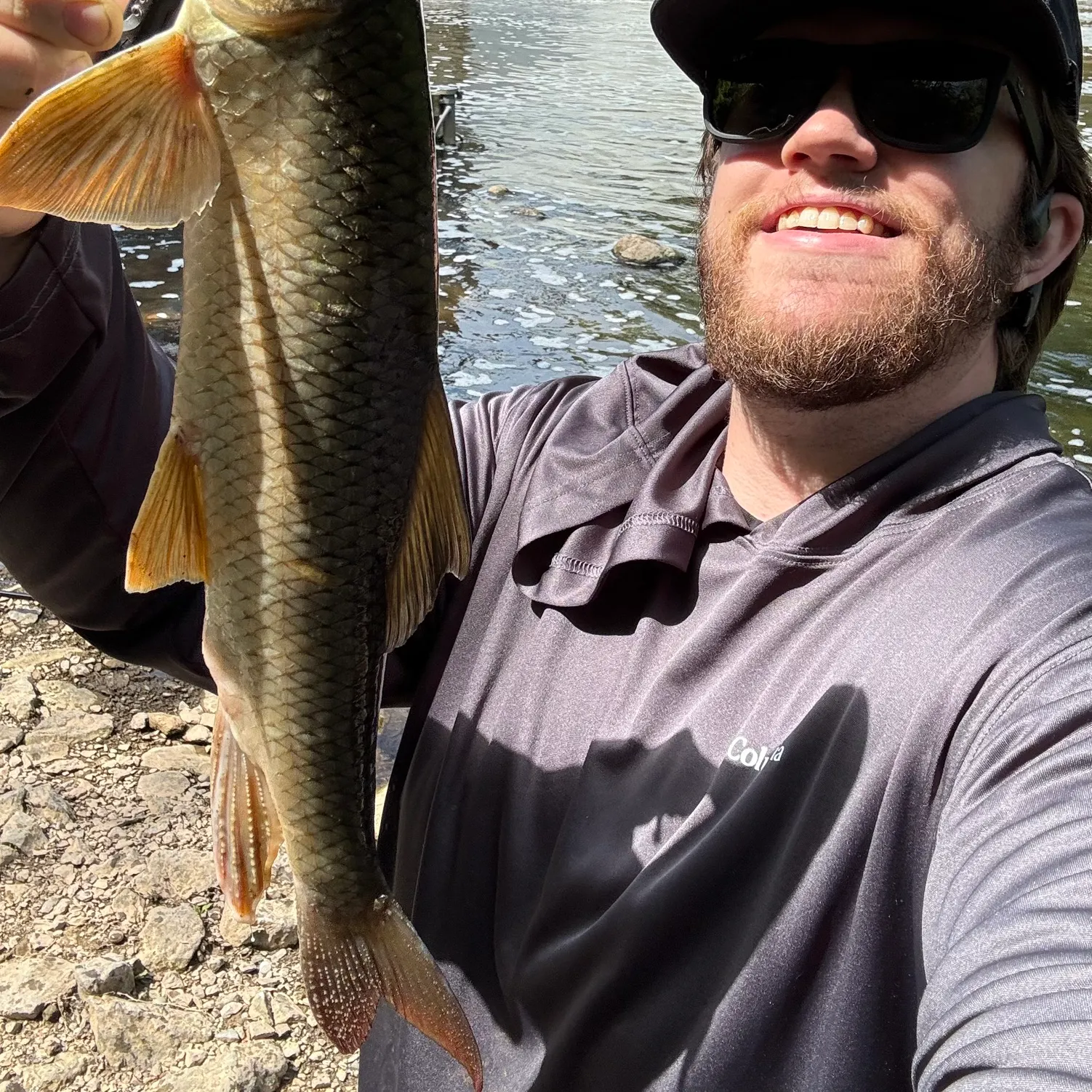 The most recent Silver redhorse catches on Fishbrain