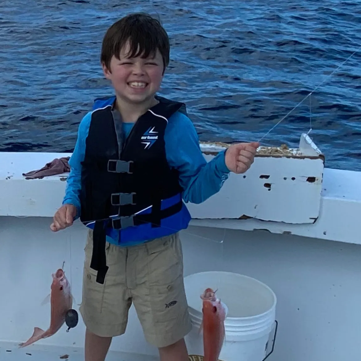 The most recent Vermilion snapper catches on Fishbrain