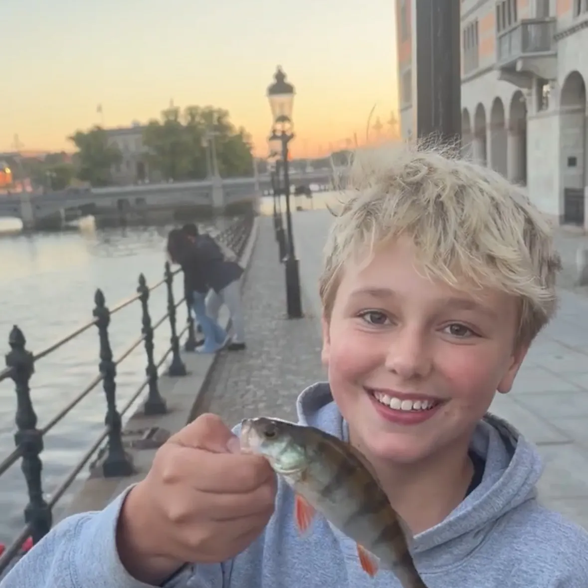 European perch caught on Fishbrain