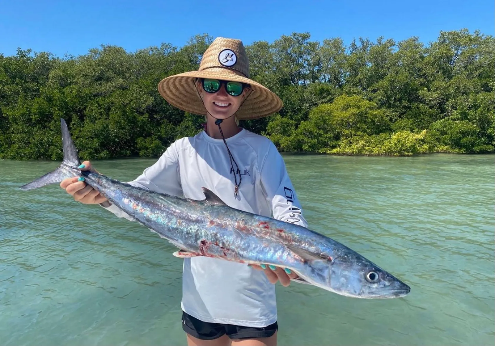 King mackerel