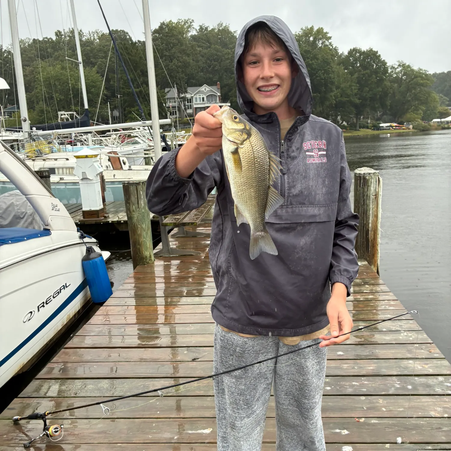 White perch caught on Fishbrain