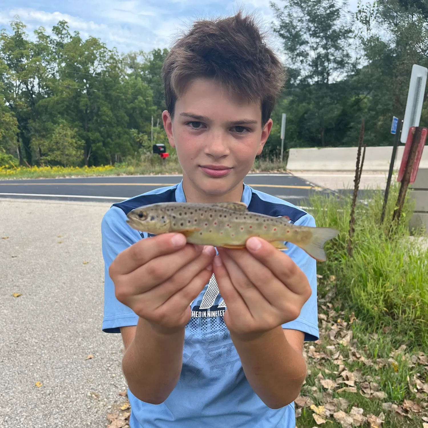 Brown trout caught on Fishbrain