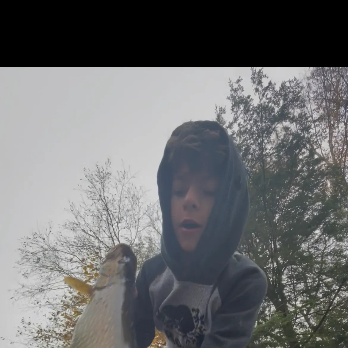 Northern pike caught on Fishbrain