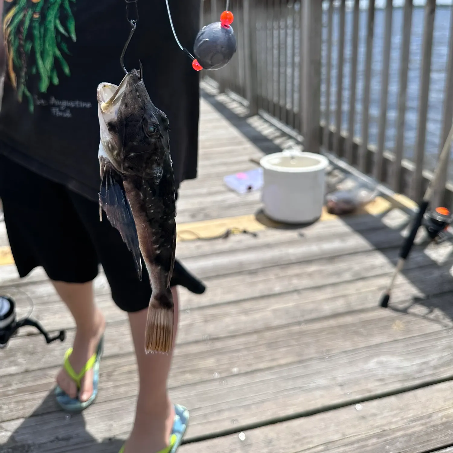 The most recent Northern searobin catches on Fishbrain