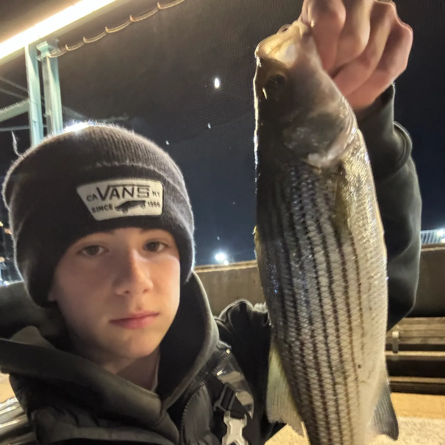 Striped bass caught on Fishbrain